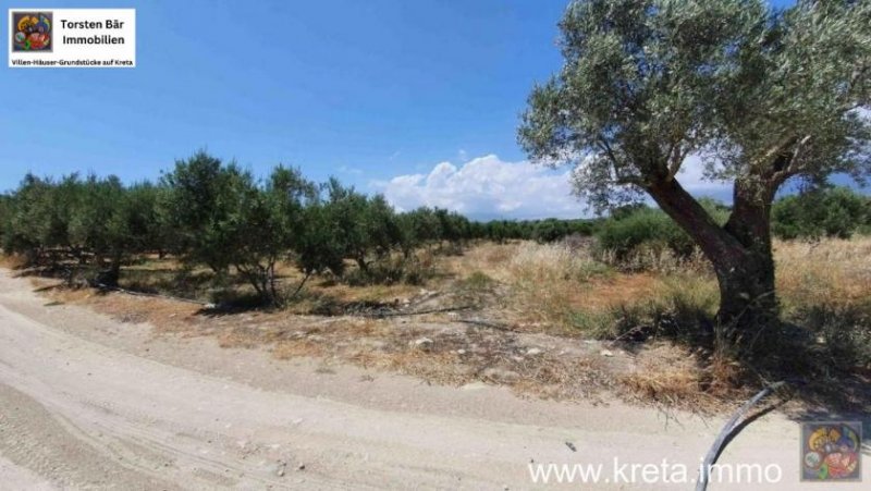 Kamilari Kreta Kamilari, Baugrundstück 2.000m² mit 2 Baugenehmigungen ! zu verkaufen Grundstück kaufen